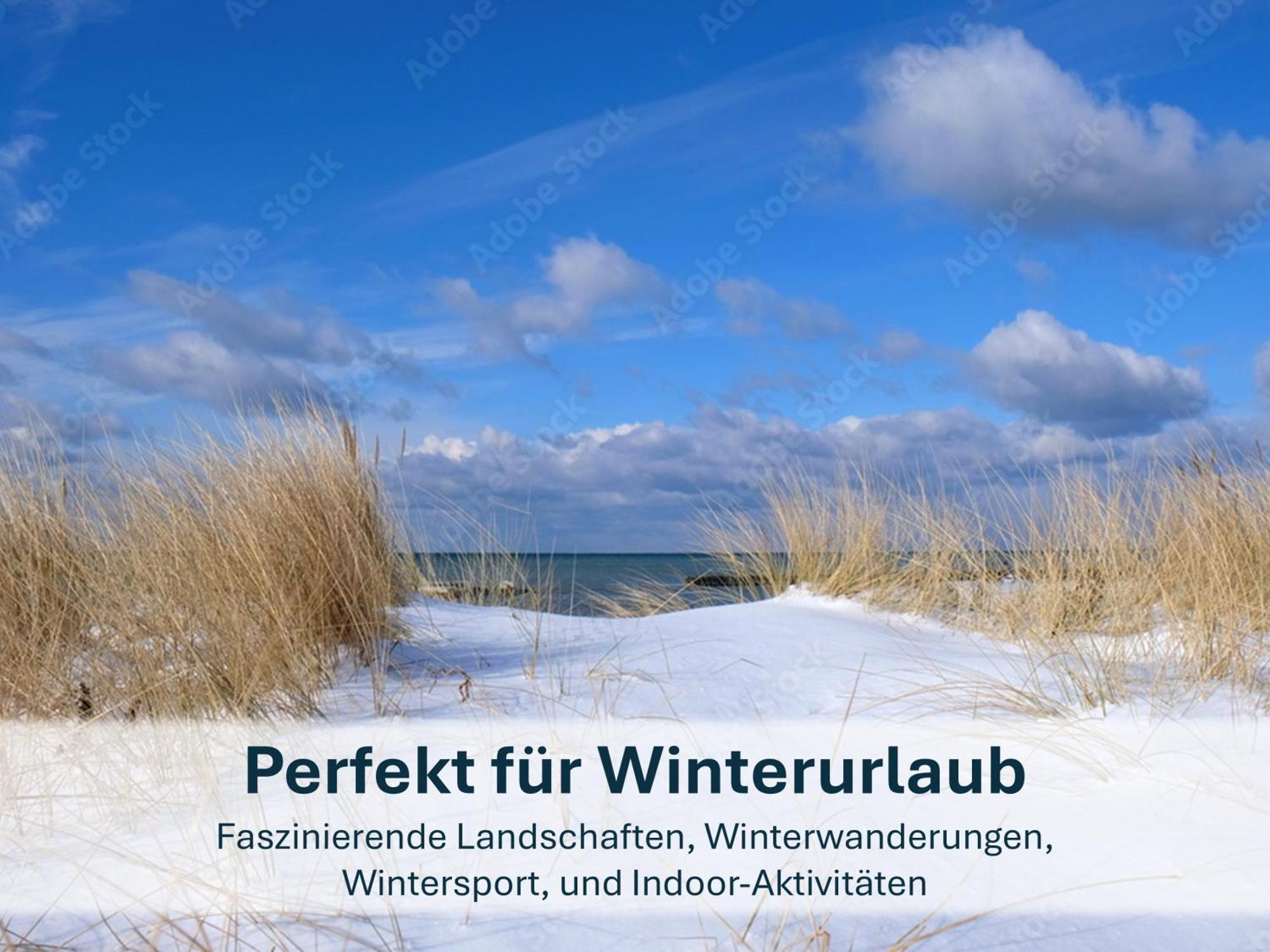 Zinnowitz, Paradies Am Wald - Wg 05 ภายนอก รูปภาพ