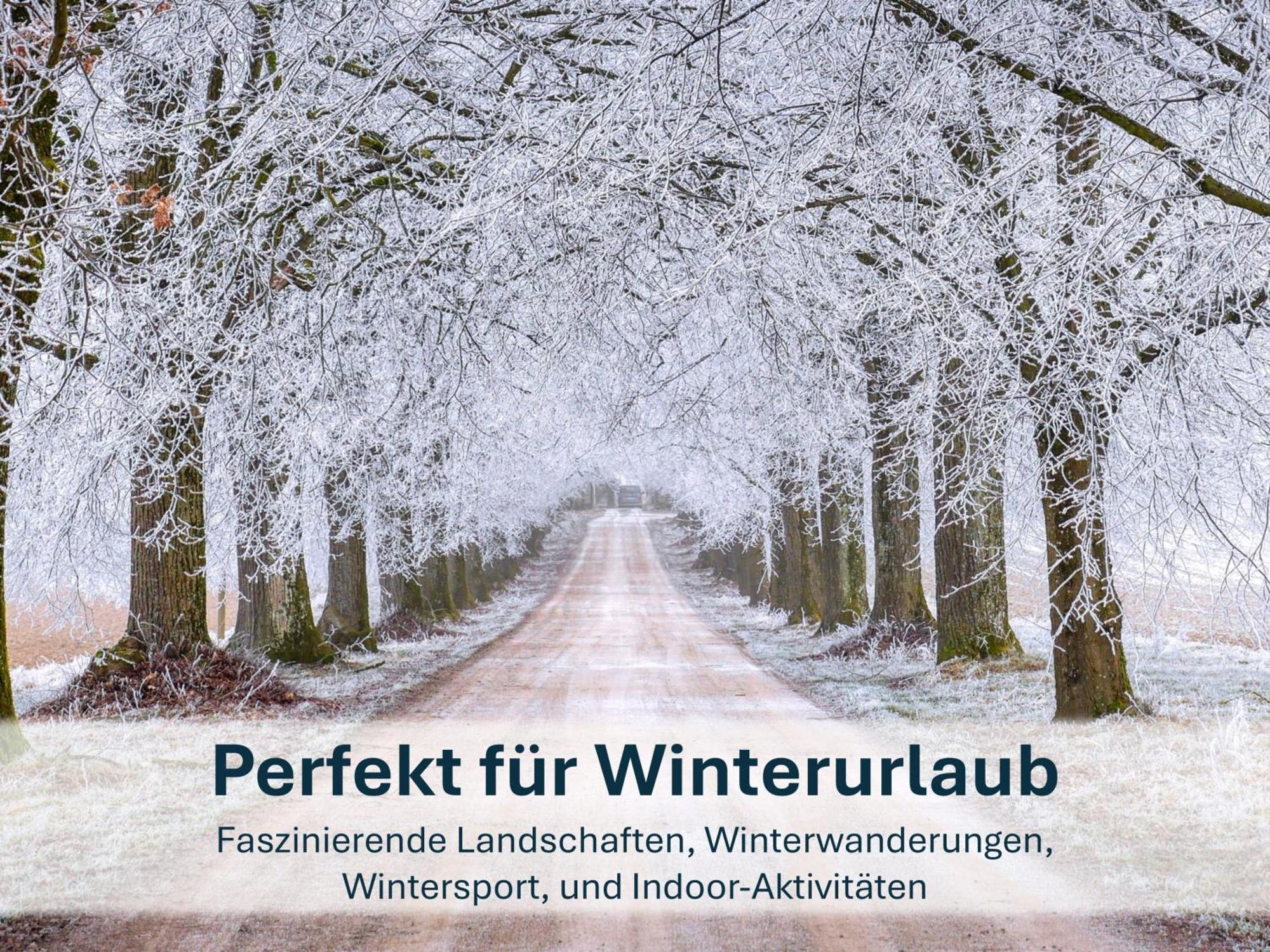 Zinnowitz, Paradies Am Wald - Wg 05 ภายนอก รูปภาพ