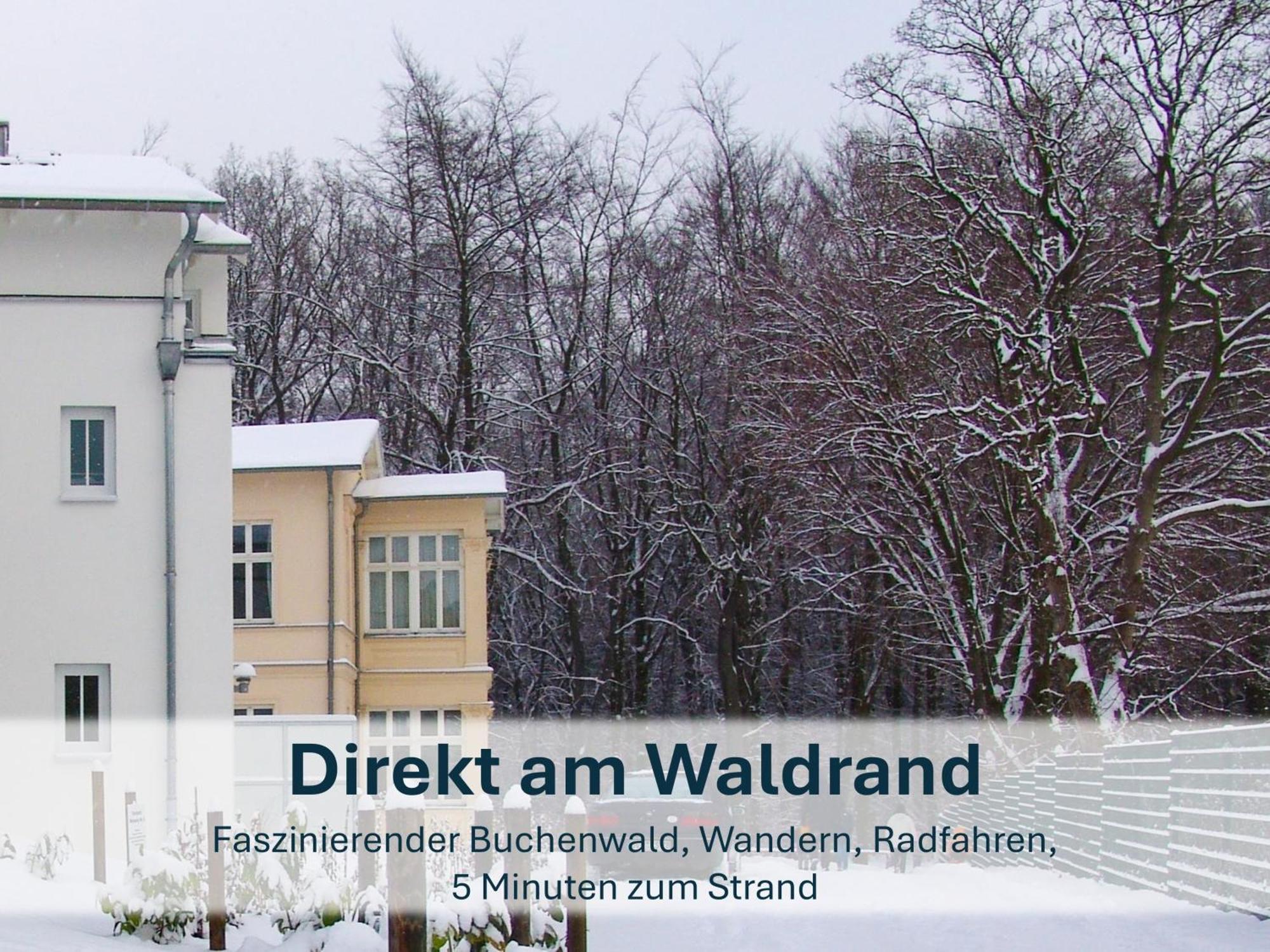 Zinnowitz, Paradies Am Wald - Wg 05 ภายนอก รูปภาพ